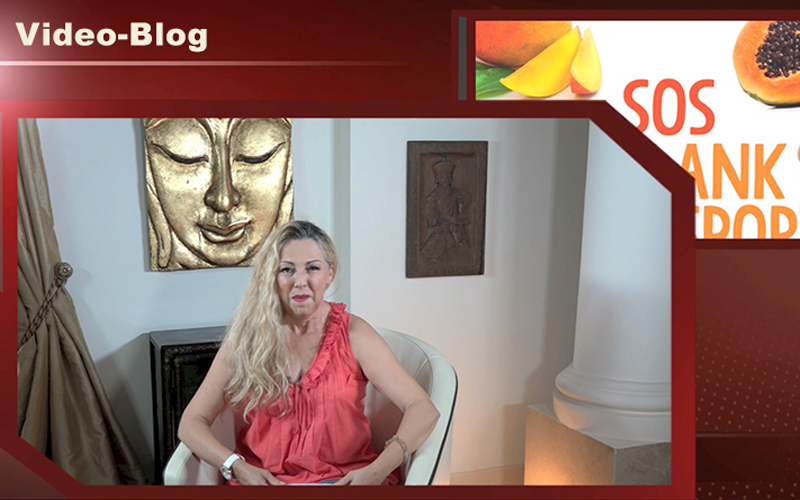 Video-Blog 1 (April 2015)